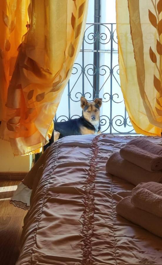 La Casetta Della Nonna Caramanico Terme Ngoại thất bức ảnh